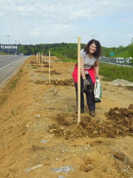 Ob dnevu zemlje sadili lipe (2)